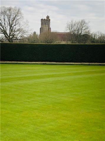 The green after brushing on Monday - Captain's News Letter March 2021